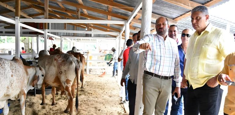 Disminuye robo de ganado en el Este, ganaderos agradecen a ministro Interior