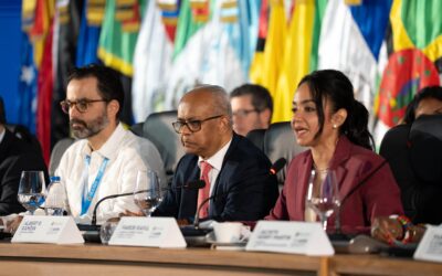 Faride Raful: “La transformación policial debe ser integral, democrática y orientada al servicio público”